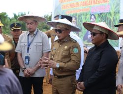 Konawe Canangkan Penanaman Jagung Pakan Hibrida, DPRD Konawe Siap Kawal Hingga Panen